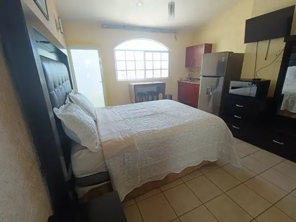 Alquiler de Suite tipo Loft Amueblada en Milenio III, Querétaro