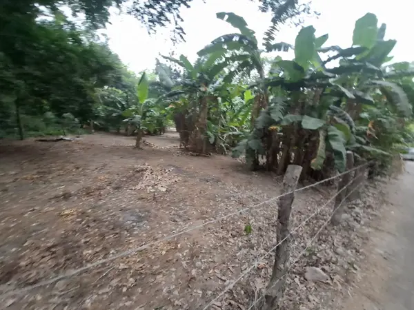 Terreno en venta en La Providencia, Medellín de Bravo — foto 2 de 20