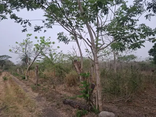 Terreno en venta en La Providencia, Medellín de Bravo — foto 3 de 20