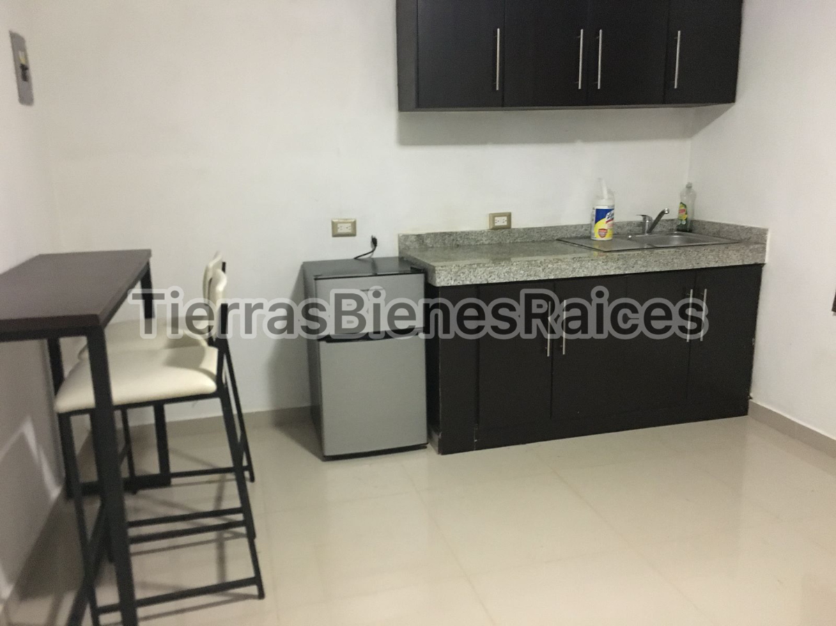 Departamento en renta en Del Bosque, Centro — foto 1 de 4
