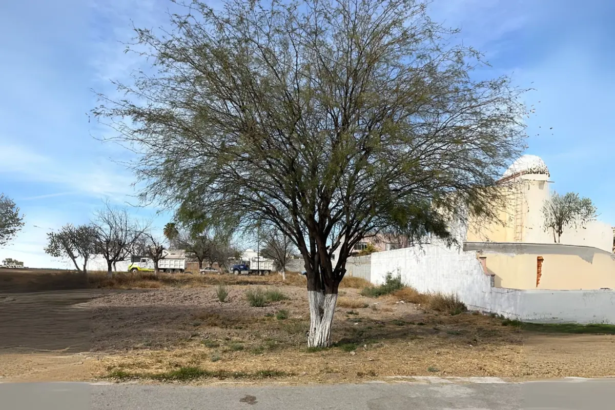 Terreno en venta en San Armando, Torreón — foto 1 de 8
