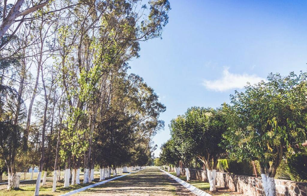 Finca-Rancho en venta en Metepec Segundo, Acatlán — foto 2 de 46