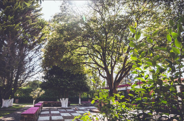 Finca-Rancho en venta en Metepec Segundo, Acatlán — foto 3 de 46