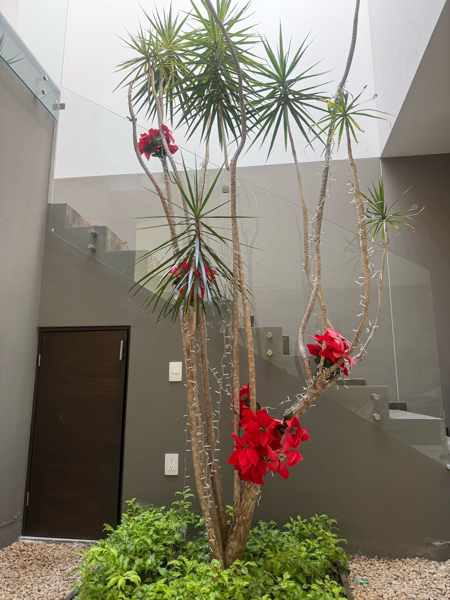 Casa en venta en Montaña Monarca I, Morelia — foto 3 de 17