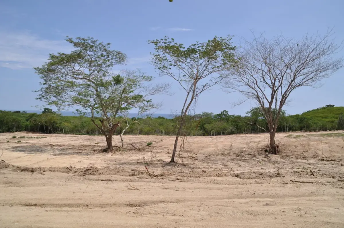 Terreno en venta en El Tomatal, Santa María Colotepec — foto 1 de 4