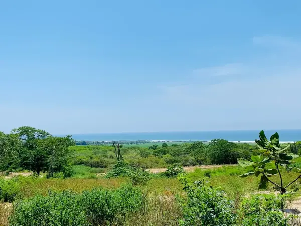 Terreno en venta en El Tomatal, Santa María Colotepec — foto 3 de 4