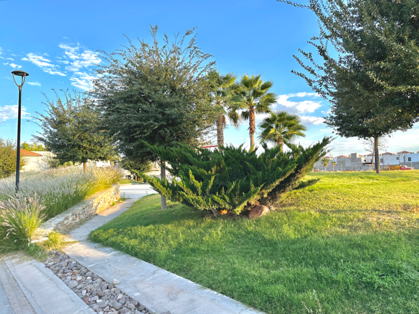 Casa en venta en Las Lomas, Torreón — foto 2 de 16