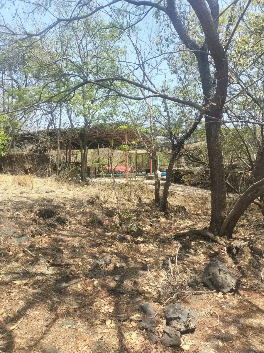 Terreno en venta en Santiago Tepetlapa, Tepoztlán — foto 1 de 7