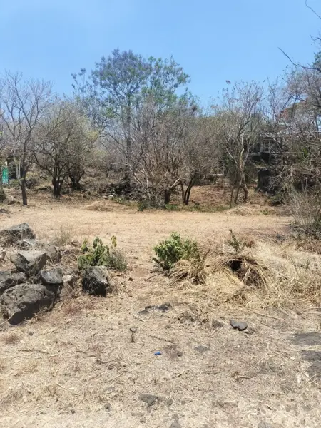 Terreno en venta en Santiago Tepetlapa, Tepoztlán — foto 2 de 7