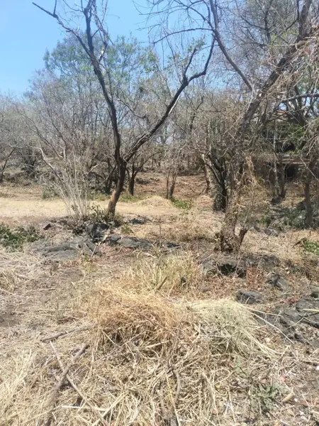 Terreno en venta en Santiago Tepetlapa, Tepoztlán — foto 3 de 7