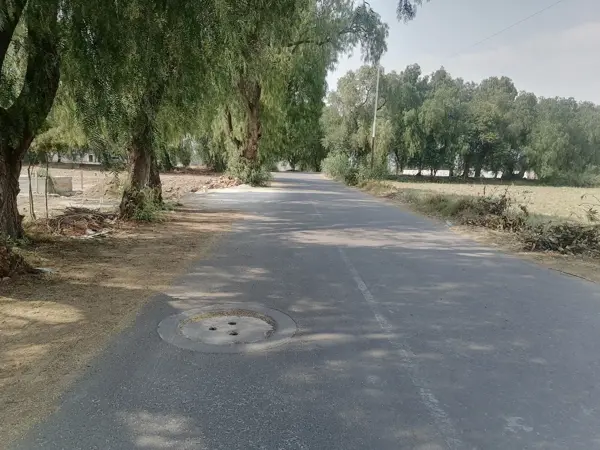Terreno en venta en California, Chiautla — foto 2 de 3