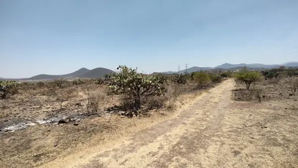 TERRENO EN VENTA APAPÁTARO TERRENO EN VENTA APAPÁTARO