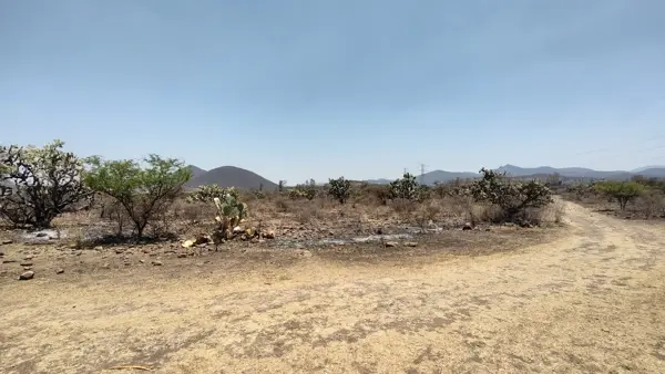 Terreno en venta en Apapátaro, Huimilpan — foto 3 de 14
