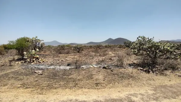 Terreno en venta en Apapátaro, Huimilpan — foto 2 de 14