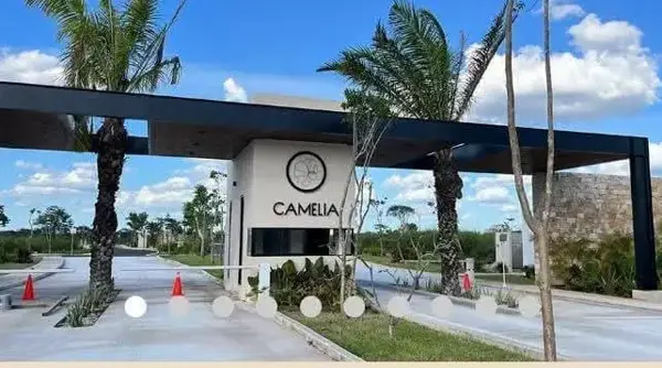 Terreno en venta en Sitpach, Mérida — foto 2 de 7