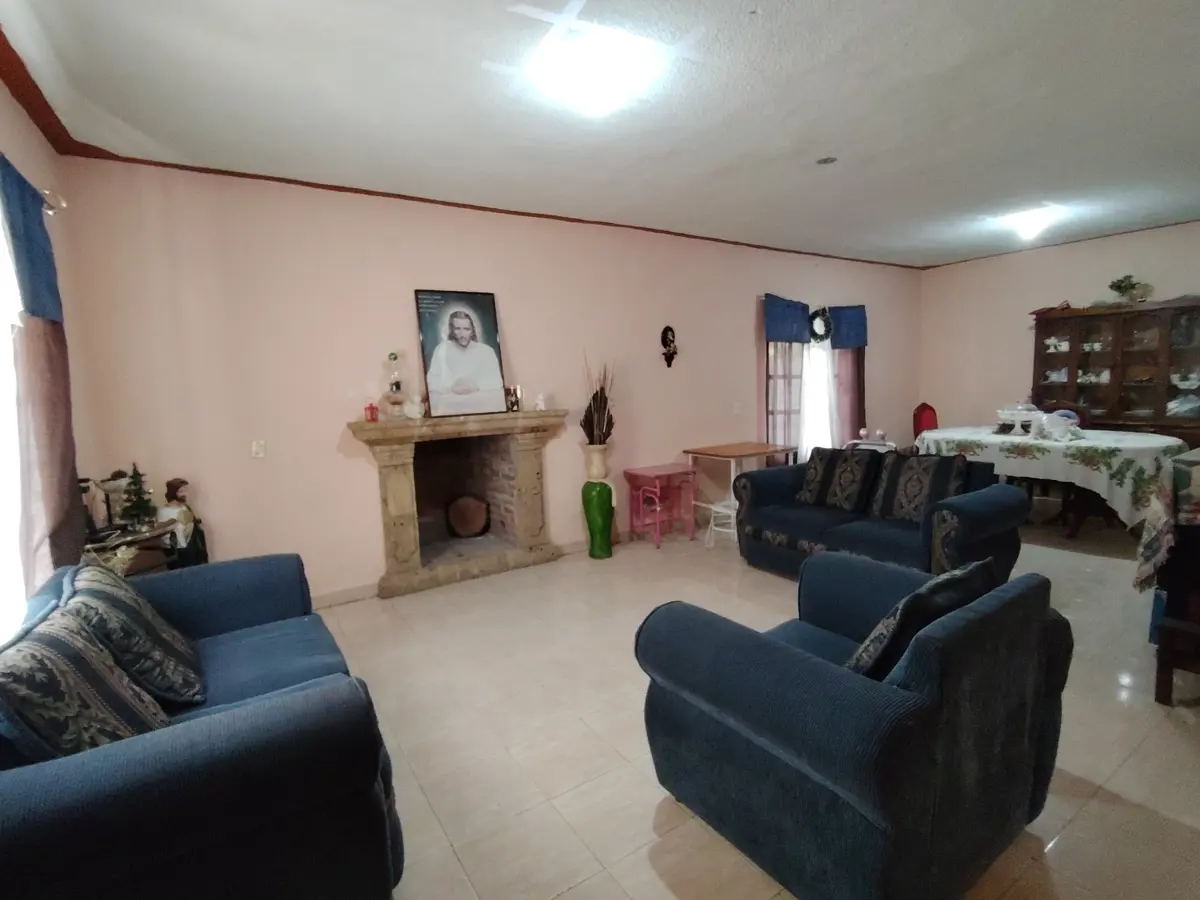 Imagen 5