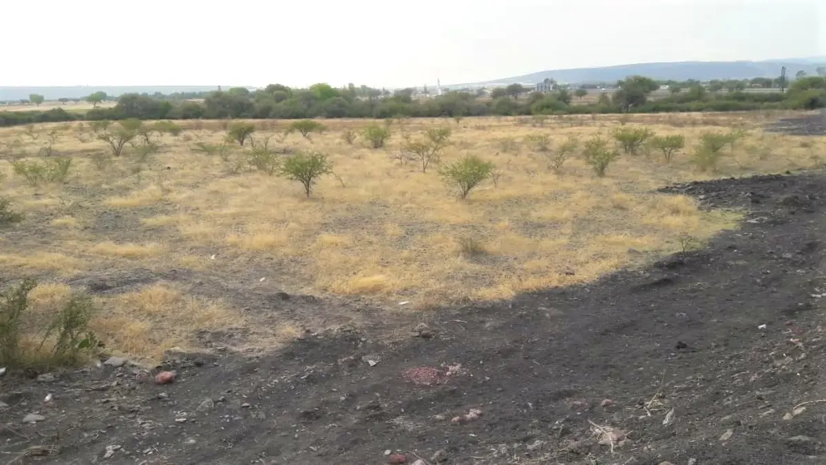Terreno en venta en La Norita, Apaseo El Grande — foto 1 de 9