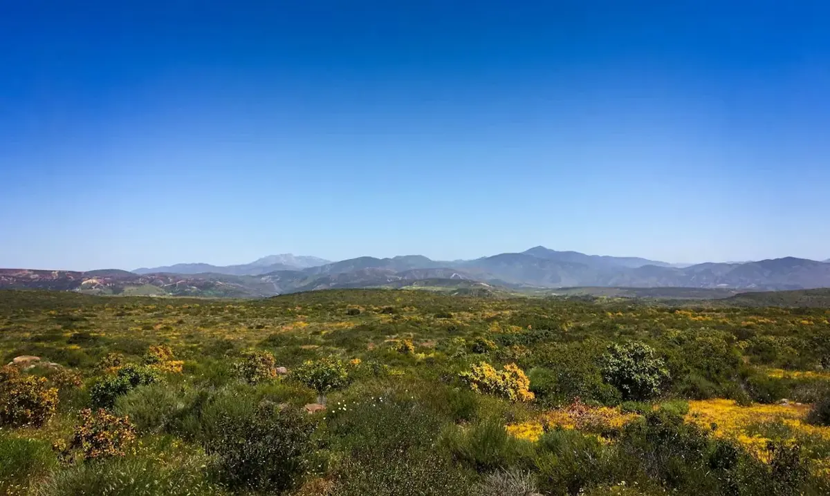 Vista principal de Finca-Rancho en Venta en La Parrita, Mapimí, Durango