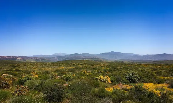 Finca-Rancho en venta en La Parrita, Mapimí, Durango