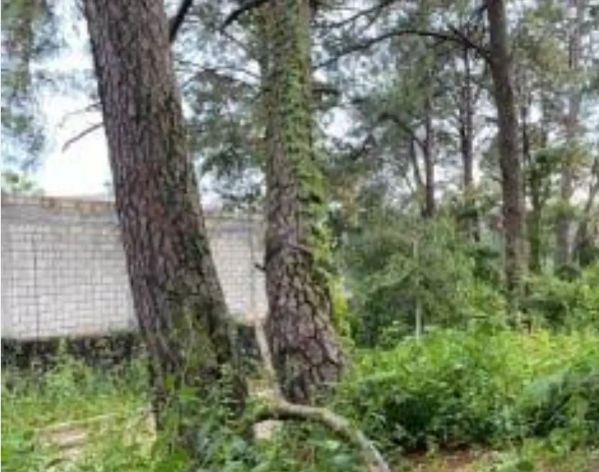 Terreno en venta en El Trapiche, Cuauhtémoc
