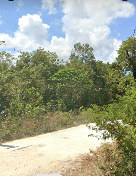 Terreno en venta en Álamos I, Benito Juárez — foto 2 de 6