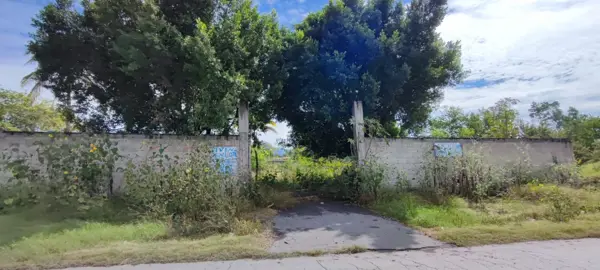 Terreno en venta en Zacatepec de Hidalgo Centro, Zacatepec — foto 2 de 9