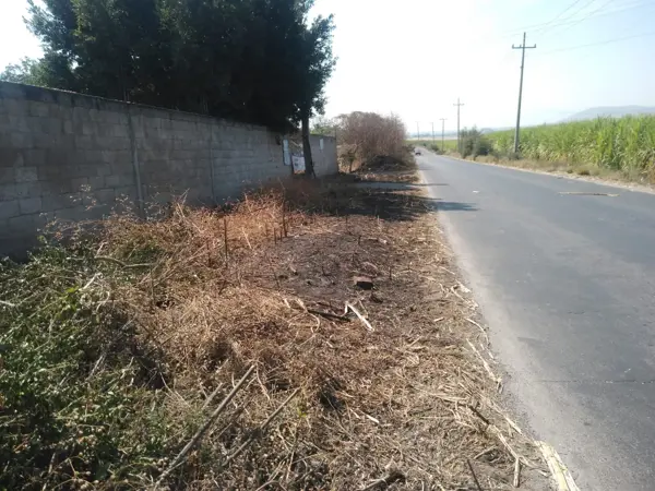 Terreno en venta en Zacatepec de Hidalgo Centro, Zacatepec — foto 3 de 9