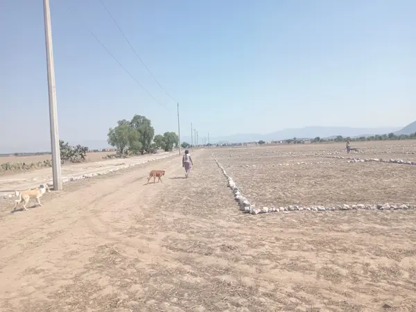 Terreno en venta en Hacienda Margarita, Mineral de la Reforma — foto 3 de 13