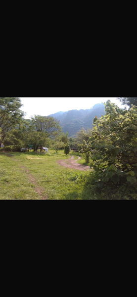 Terreno en venta en Amatlán de Quetzalcóatl, Tepoztlán — foto 2 de 15