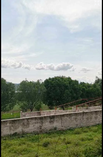 Terreno en venta en Ajuchitlan, Colón — foto 2 de 25