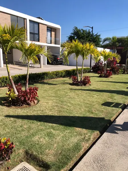 Casa en renta en Costa Coral, Bahía de Banderas — foto 2 de 15