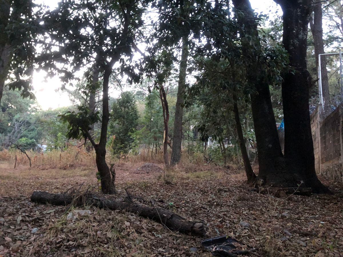 Terreno en venta en Real Montecassino, Huitzilac — foto 1 de 5