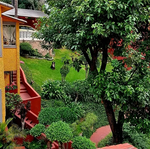 Casa en venta en Lomas del Huizachal, Naucalpan de Juárez — foto 3 de 11