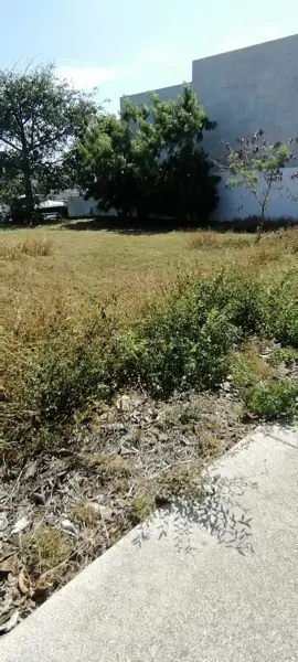 Terreno en venta en Juárez, Benito Juárez — foto 2 de 8