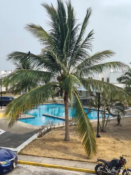 Casa en venta en Dream Lagoons, Veracruz — foto 2 de 17