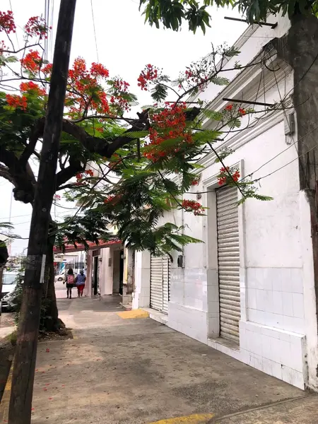 Local en venta en Veracruz Centro, Veracruz — foto 3 de 22