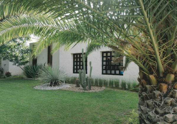 Casa en venta en Los Gonzalez, Saltillo — foto 3 de 11