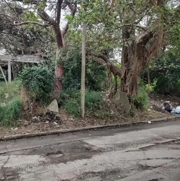 Terreno en venta en Puerto de Veracruz, Veracruz — foto 2 de 3
