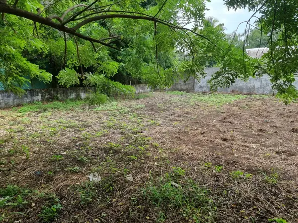 Terreno en venta en Lindavista, Catemaco — foto 2 de 8
