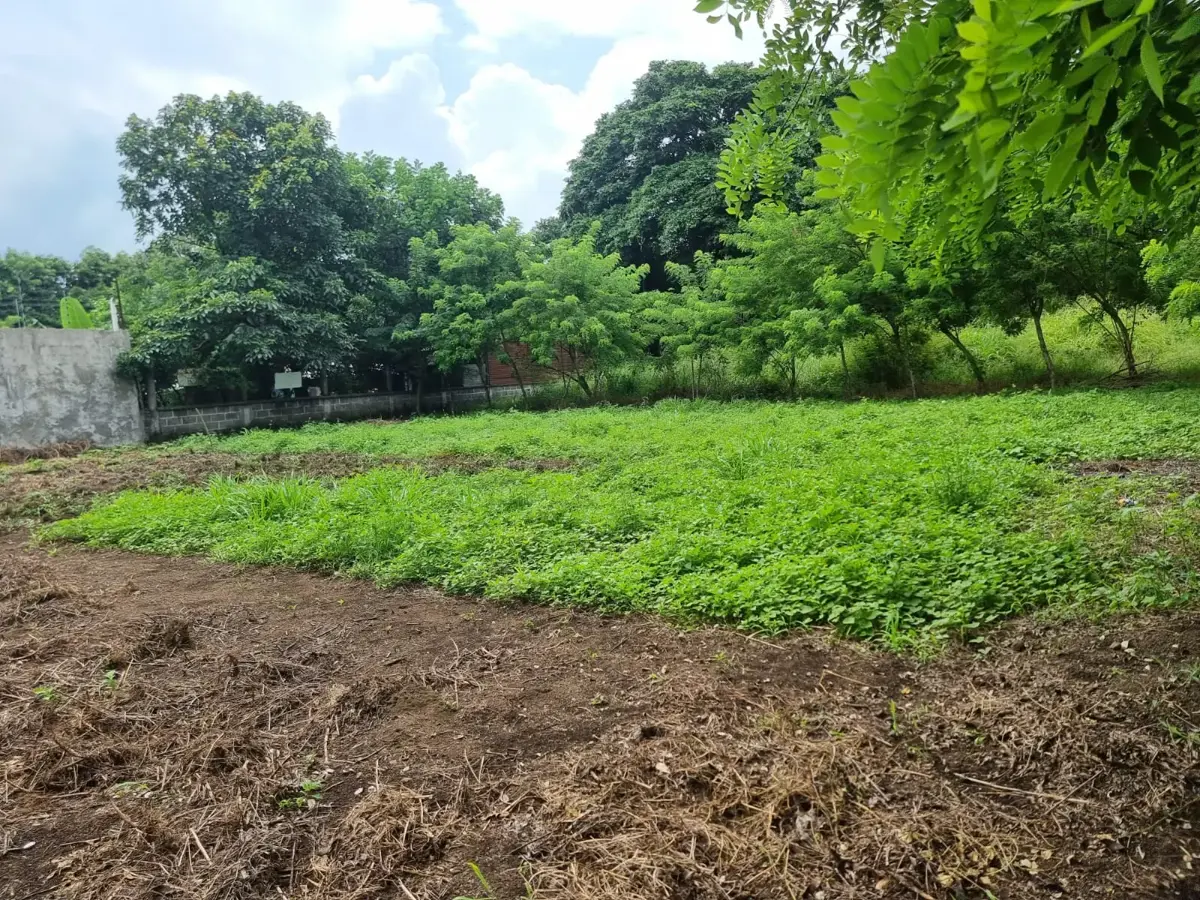 Terreno en venta en Lindavista, Catemaco — foto 1 de 8
