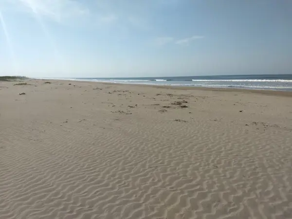 Terreno en venta en Playa Novillero, Tecuala — foto 3 de 11