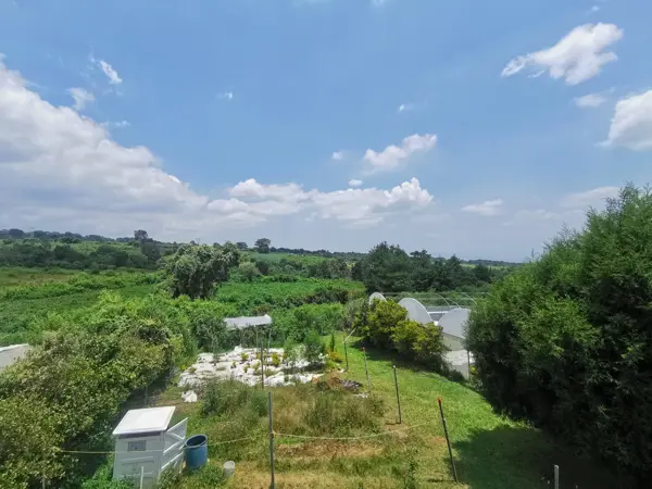 Terreno en venta en Ahuatenco, Ocuilán — foto 3 de 12