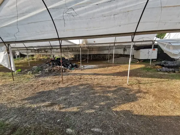Terreno en venta en Brisas, Temixco — foto 2 de 7