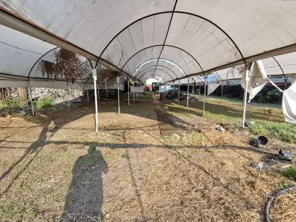 Terreno en venta en Brisas, Temixco — foto 3 de 7