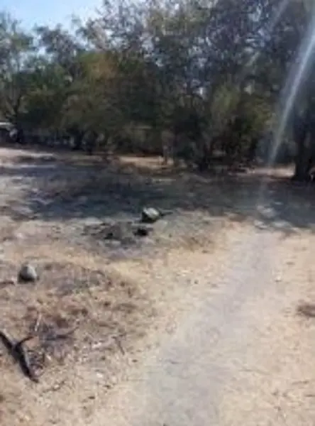 Terreno en venta en El Florido, Mazatepec — foto 3 de 10