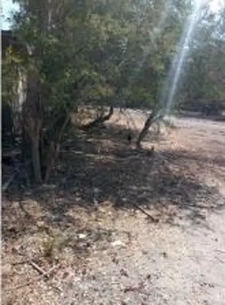 Terreno en venta en El Florido, Mazatepec — foto 2 de 10