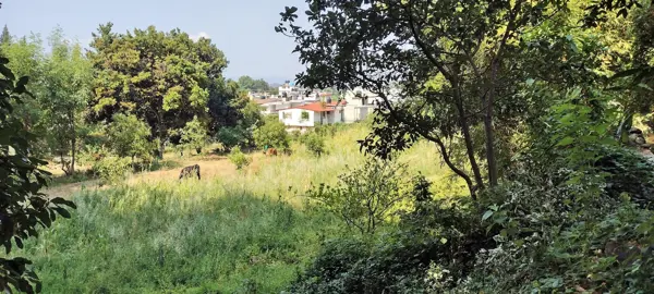Terreno en venta en Santa María Pipioltepec (Pipioltepec), Valle de Bravo — foto 3 de 12