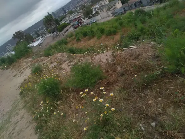 Terreno en venta en Hidalgo, Tijuana — foto 2 de 16