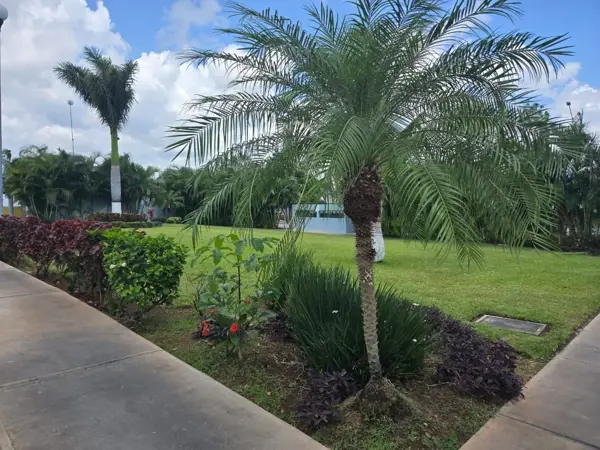 Casa en venta en Los Olivos, Playa del Carmen — foto 3 de 20