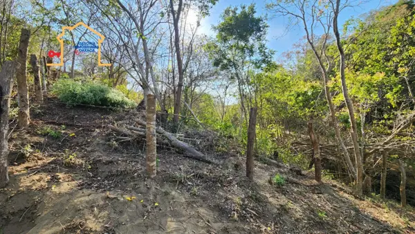 Terreno en venta en Arroyo el Tres, Santa María Tonameca — foto 2 de 7